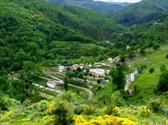 Camping l'Ardechois, Ard�che, Frankreich