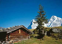 Schweiz, Interlaken - Thuner See: Campingplatz Manor Farm 1