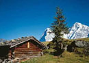 Camping Manor Farm 1 in Interlaken - Thuner See, Berner Oberland, Schweiz